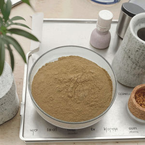 Sumac Pó Fisetin Galla <span class=keywords><strong>Chinensis</strong></span> / <span class=keywords><strong>Rhus</strong></span> <span class=keywords><strong>Chinensis</strong></span> Extrato Sumac Extrato - Product Image 6