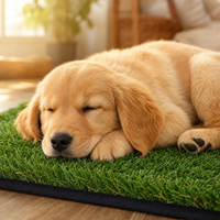 Tapis d'herbe artificielle intérieur écologique haute densité pour animaux de compagnie, moquette pour chien 30 mm en fil en forme de C, résistant à l'eau hypertonique