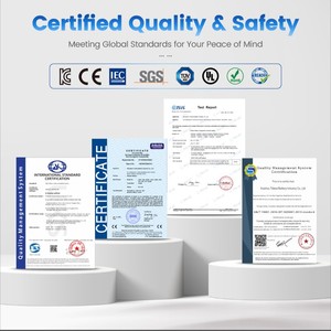 Tốt bán sỉ OEM ODM 1.5V <span class=keywords><strong>9V</strong></span> LR03 LR6 Alkaline AAA AA tiểu Pin - Product Image 5