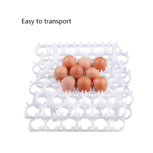 Bandeja de incubación de <span class=keywords><strong>huevos</strong></span> de celdas de plástico YYC para incubadora de <span class=keywords><strong>huevos</strong></span> de <span class=keywords><strong>gallina</strong></span> bandeja de <span class=keywords><strong>huevos</strong></span> de <span class=keywords><strong>gallina</strong></span> - Product Image 5