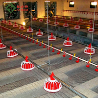 Équipement d'élevage avicole automatique de haute qualité pour poulets de chair, mangeoire et abreuvoir pour poulets