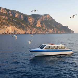 Grandsea Bateau-taxi touristique à grande vitesse de 28 pieds, en fibre de verre, petit bateau de passagers avec moteur, à vendre - Product Image 5