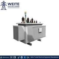 10kV 20kV Yağlı Tip Trafo 200kVA 300kVA 500kVA 1000kVA 400V 50/60Hz Özel Ölçülü Düşürücü Bakır Üç Fazlı Şebeke Trafo Merkezi