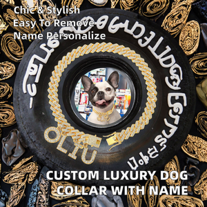हाइप शैली लक्जरी क्रिस्टल पालतू हार कॉलर कुत्तों के लिए मिश्र धातु बकल कस्टम पत्र के साथ - Product Image 4
