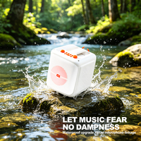 Mini Máquina de Karaoke con Altavoz Bluetooth, Micrófono Inalámbrico, Regalo de Cumpleaños para Niñas, Envío Inmediato, Venta al por Mayor, Tarjeta TF, USB, Aux, FM