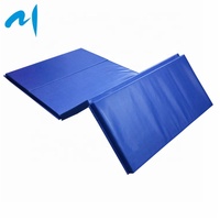 Colchoneta para hacer ejercicio en el gimnasio, estera de alta densidad para hacer ejercicio aeróbico, de espuma gruesa, azul