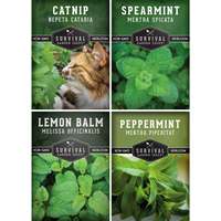 Collection de graines de menthe Heirloom OEM d'usine avec étiquette personnalisée et code-barres pour sachet de graines d'herbes de marque