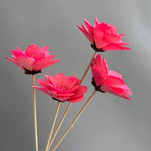 Huahuan Vente en gros personnalisée, fleurs de magnolia séchées conservées populaires sur INS, fleurs de coquille de noix pour la décoration de la maison, de la réception de mariage, des plantes - Product Image 4