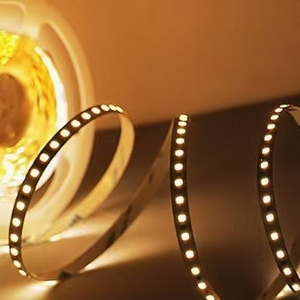 Multi Color SMD 2835 Flexible Indoor Lighting 8mm 10mm Width <b>USB</b> Remote Control <b>for</b> Garden Lobby Decoration - Product Image 3