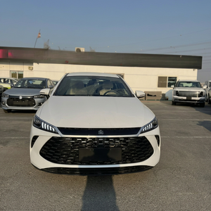 Auto Eléctrico BYD Qin Plus 2025 de Cuatro Ruedas - Product Image 1
