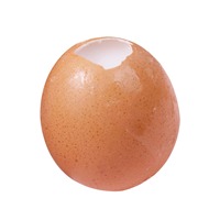 Jouet anti-stress en silicone en forme d'œuf de caille, simulation de coquille d'œuf, gadget de décompression pour le bureau