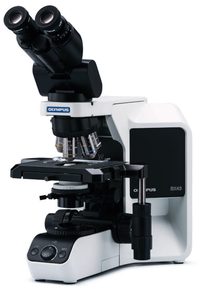 กล้องจุลทรรศน์ดิจิตอล Olympus BX53/BX43/BX46 แบบสามตา ความละเอียด 1280x720 มาตรฐาน IP53 โฟกัสแบบแมนนวล สำหรับการใช้งานทางชีววิทยาและการแพทย์ขั้นสูง - Product Image 3
