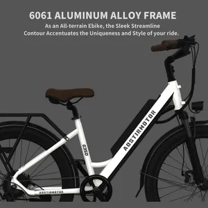 26 "타이어 350W 전기 자전거 36V 10AH 성인 소녀를 위한 이동할 수 있는 리튬 전지 도시 Ebike