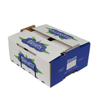 Boîtes d'emballage écologiques en carton ondulé personnalisées pour raisins avec logo / Cartons à raisins pour présentation en magasin - Remises sur les commandes en gros