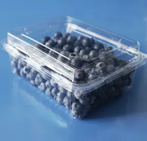Ücretsiz örnek toptan dikdörtgen blister 450g 500g üzüm plastik meyve ambalaj kabı