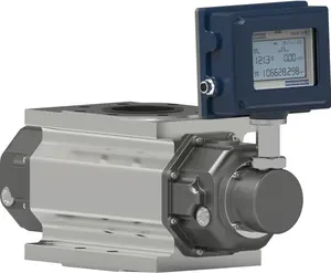 LLGQA Intelligent gas flow meter Roots (Waist Wheel) Flowmeter DN50