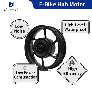 16 inch <span class=keywords><strong>250W</strong></span> 24V <span class=keywords><strong>36V</strong></span> 48V 20-45km/h e-bike xe máy Hub động cơ - Product Image 3