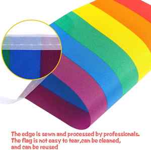 Bandera de Arcoíris de Poliéster con Logotipo Personalizado para Fiestas LGBT, Celebraciones y Eventos Empresariales - Decoraciones para Interiores/Exteriores - Product Image 3