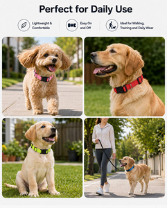 Reflective Nylon Dog <b>Collar</b> <b>Leash</b> Set Adjustable Buckle <b>Pet</b> Lead Set for Walking Training - Product Image 1