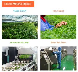 Xuhuang bán buôn matcha trà xanh bột Nghi Lễ Matcha bột - Product Image 6