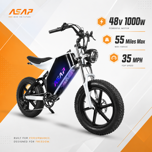Bicicleta Eléctrica de Montaña para Adultos de 7 Velocidades y 1000W, Llantas Gruesas de 20 Pulgadas, Bicicleta Plegable con Batería de Litio de 48V, Motor en el Buje Trasero, Bicicleta Zebra ASAP - Product Image 1