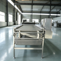 Automatische rol sorteermachine voor het sorteren van fruit en groenten op maat, voor verwerkingslijnen.