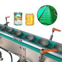 Convoyeur à chaînes en plastique de dessus plat de bouteille de Tableau pour la ligne de production alimentaire