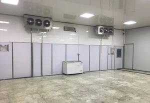 Prix standard élevé 100ton Congélateur Room System mangue Citron Gubba Cold Storage Walk in Cold Camera pour <span class=keywords><strong>Grenade</strong></span> - Product Image 5