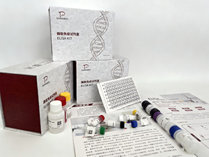 Kit ELISA Sandwich de Interferon Gama Humano IFN-gama 48T/96T - Product Image 1