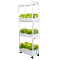 Système de jardin hydroponique vertical intérieur à deux couches Fabricant de base de vente à l'exportation comprenant une ferme à pompe pour la culture domestique