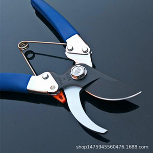 กรรไกรตัดแต่งกิ่งกระบองเพชร 1256 ใบมีดเหล็กคาร์บอน 60 มม. สำหรับกิ่งผลไม้และดอกไม้ ผลิตในญี่ปุ่น - Product Image 1