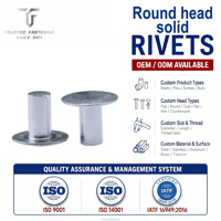 TianFang Vente directe d'usine chinoise Faible MOQ Rivet solide à tête ronde en aluminium professionnel Norme ISO Finition brillante Personnalisé