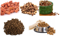 Machine de traitement automatique de flocons d'aliments pour poissons tropicaux JOYANG, extrudeuse d'aliments pour animaux de compagnie en acier inoxydable, ligne de traitement haute capacité