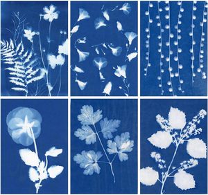 Recharge de papier d'impression solaire A4 10 feuilles de papier cyanotype activé par le soleil/solaire pour les projets de bricolage papier à <span class=keywords><strong>dessin</strong></span> d'art - Product Image 2