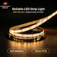 Bande LED flexible haute luminosité DC24V 224LEDs/m SMD2835, température de couleur 3000K-6000K, éclairage paysager à corps en cuivre.