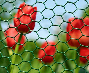 Grilles <span class=keywords><strong>de</strong></span> cage à pierres rectangulaires en acier galvanisé tissé, revêtement poudré, production usine, vente chaude - Product Image 6