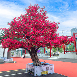 Arbres de Bougainvilliers Artificiels en Fibre de Verre à Haute Simulation Personnalisables pour la Décoration de la Maison, du Jardin et de l'Hôtel - Product Image 3