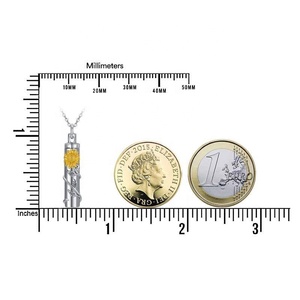 Venta caliente personalizado 925 plata esterlina girasol Micro grabado barra urna collar cenizas cremación joyería - Product Image 3