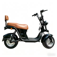 Bicicleta Eléctrica de Última Generación 2026, 1500W 60V, Batería de Gran Capacidad, Carga Rápida, Cuadro Ligero de Acero, Asistencia de 3 Velocidades, Motor Trasero Electrónico