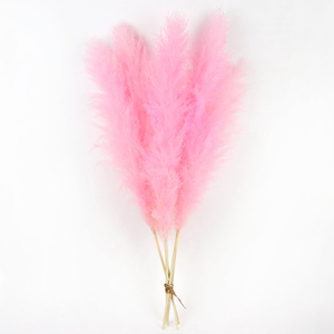 Pampas Grandes Secas y Esponjosas de Color Blanco al por Mayor, Flores de Pampas Secas, Hierba de Pampas Grande para Decoración de Bodas - Product Image 4