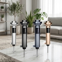 Coffret Cadeau Kit Chicha Électronique Portable avec Écran LED, Sans Charbon, Doré