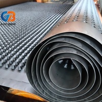 Planche de drainage alvéolée en géotextile à bas prix, feuille de drainage composite en PEHD pour l'étanchéité des fondations de sous-sols et toitures vertes