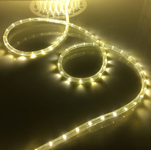 Tira de cuerda de alambre flexible RGB para exteriores, tubo de cuerda de 100m, 12V, luz de neón LED inteligente naranja para decoración de árboles de jardín - Product Image 3