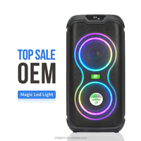 Altavoz Portátil Impermeable DP-2613 de 60W con Micrófono Inalámbrico e Iluminación RGB para Fiestas, Uso Comercial, OEM/ODM, Altavoces para Fiestas al Aire Libre