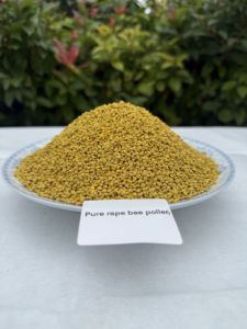 Polen de Abeja de Colza en Polvo Puro al por Mayor - Grado Alimenticio, Suministro a Granel con Empaque Estándar a Precio Competitivo - Product Image 5