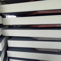 Panneau d'isolation en mousse rigide sur mesure - Isolation thermique moderne et écologique pour maisons conteneurs et serres