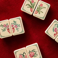 Ensemble de Mahjong Américain de Luxe Rose Opale Vintage Floral Blush Garden, 160 Tuiles de Mahjong en Acrylique Gravées à Deux Couches