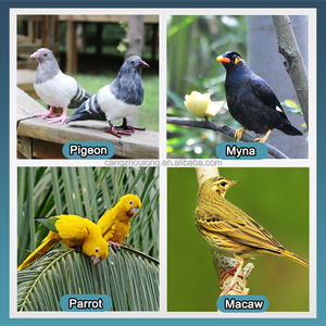 YYB-LMB-10 Colombe Oiseaux En Plastique Abreuvoir Bol Tasse D'eau Perroquet Pigeons Bouteille D'eau Abreuvoir pour Cage - Product Image 6