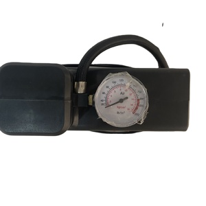 Pompe à air <span class=keywords><strong>électrique</strong></span> AC110V-<span class=keywords><strong>220V</strong></span>, compresseur d'air Ar, DC <span class=keywords><strong>12V</strong></span>, <span class=keywords><strong>gonfleur</strong></span> de pneus de voiture portable - Product Image 2