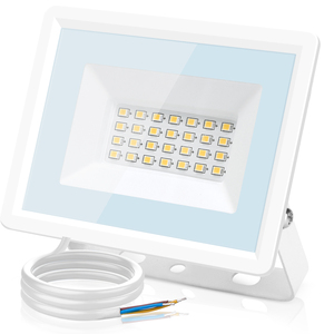 Aigostar 20W proiettore esterno IP65 luce di sicurezza impermeabile naturale 4000K LED 1650LM luci da esterno AC Power BV certificate - Product Image 1